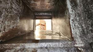 No_Frills_Compactor_4